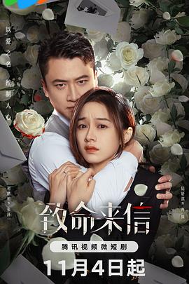 专业网站优化公司价格